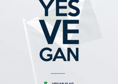 YES VE GAN
