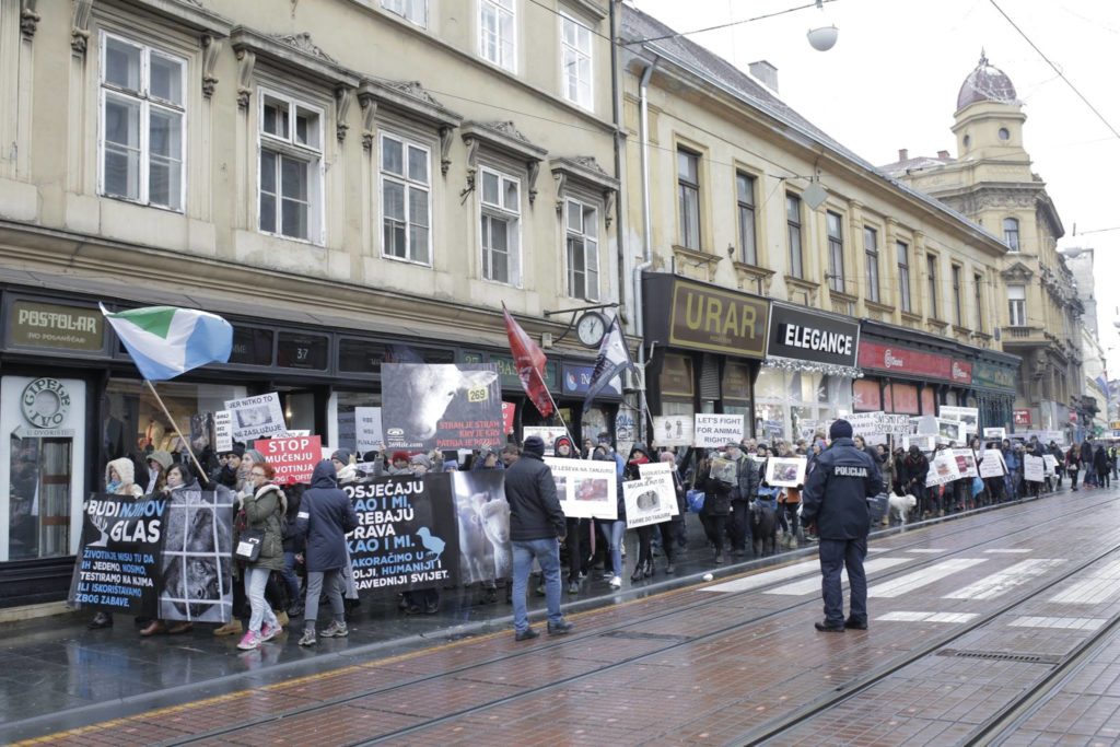 march with the vegan flag