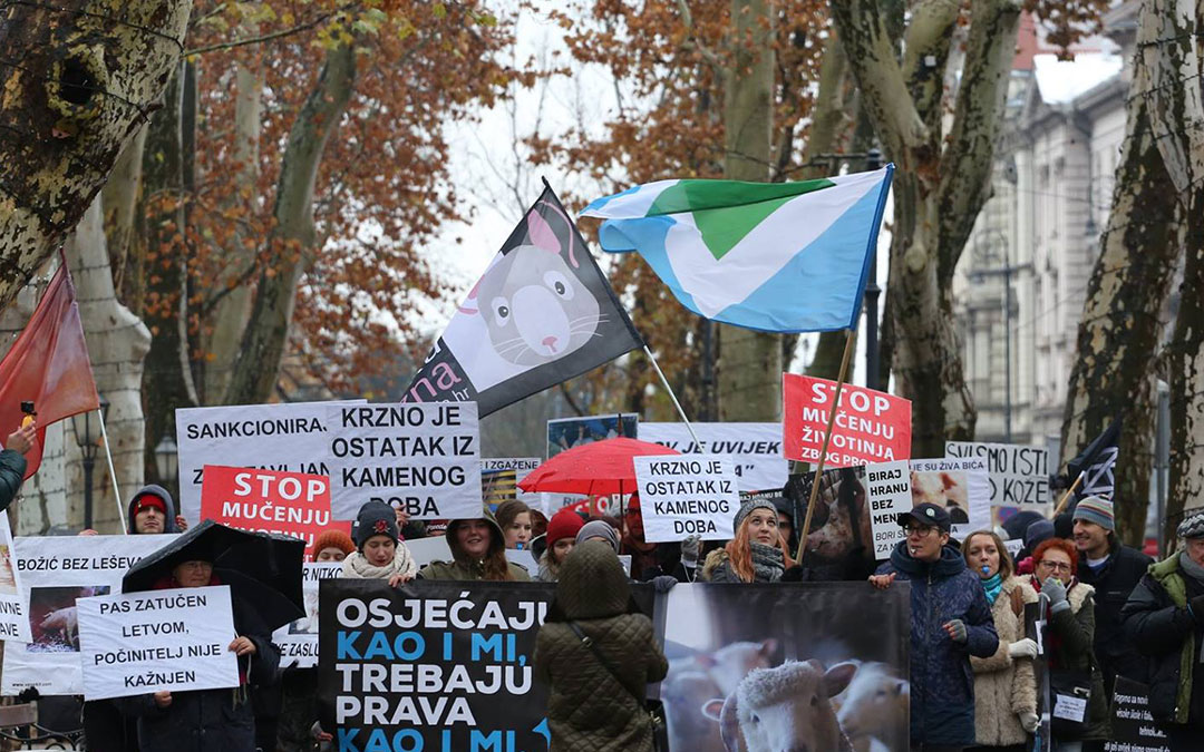 Hundreds of participants in a march for animals in Croatia